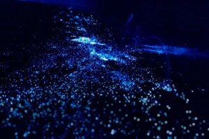 Obecność planktonu i bioluminescencyjnych alg na wybrzeżach