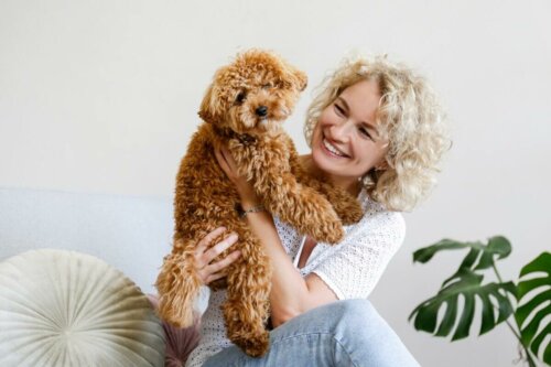 Kobieta z psem maltipoo