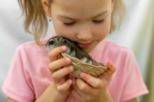Jak sprawdzić, czy mój chomik jest szczęśliwy?
