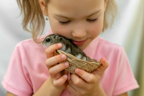 Jak sprawdzić, czy mój chomik jest szczęśliwy?