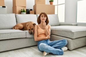 Gesty u psów, których nie rozumiemy – 8 przykładów