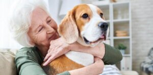 Higiena w domu ze zwierzęciem domowym