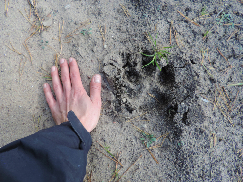 En tierra de todos: film dokumentalny WWF