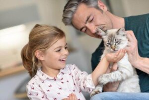 Dziewczynka głaszczę kotka, a ty jak zachowujesz odwiedzając dom znajomego, który ma psy lub koty?