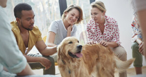 Wskazówki dotyczące wyboru idealnego psa terapeutycznego