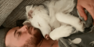 Człowiek tworzy system do komunikacji ze swoim niemym psem, porusza świat