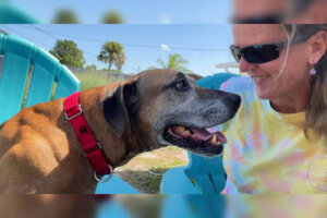 Czekał 8 lat w schronisku i w końcu został adoptowany