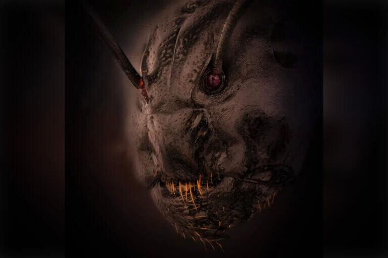 Zbliżenie na mrówkę gmachówkę