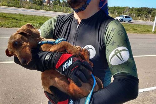 Rowerzysta niesie jamnika.