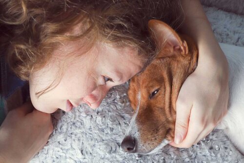 Żałoba: radzenie sobie ze śmiercią zwierzęcia