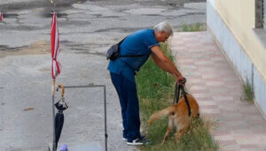 Dziadek wyprowadza psa staruszka