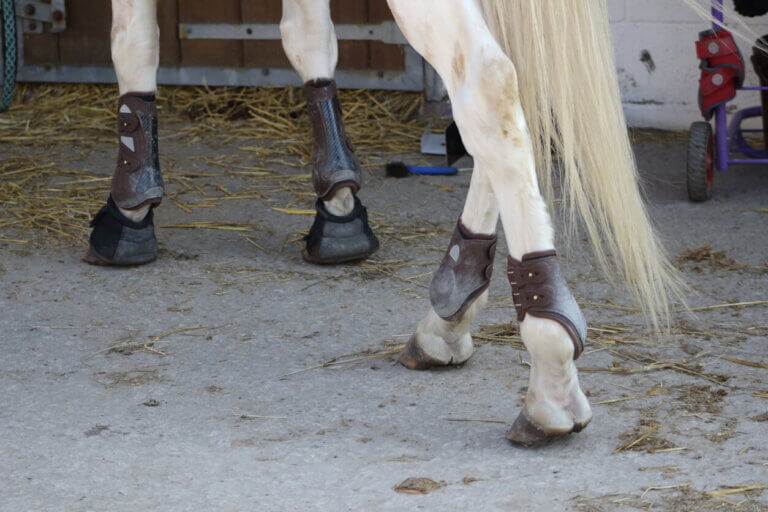 Ochraniacze na kopyta