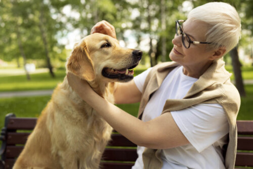 Jak możesz określić wiek psa, nie znając dnia jego narodzin?