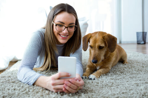 Doggies in Town, aplikacja, która pokaże Ci miejsca przyjazne psom w Hiszpanii
