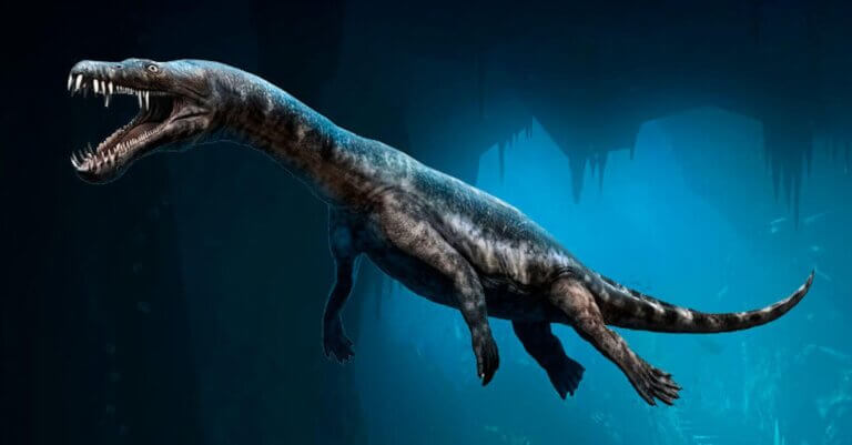 Notozaur jeden z okazów Gadów morskich