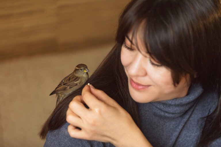 Czy wiesz, że wróble rozpoznają ludzi?