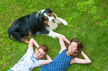 Dowiedz się więcej o relacjach border collie w rodzinie z dziećmi