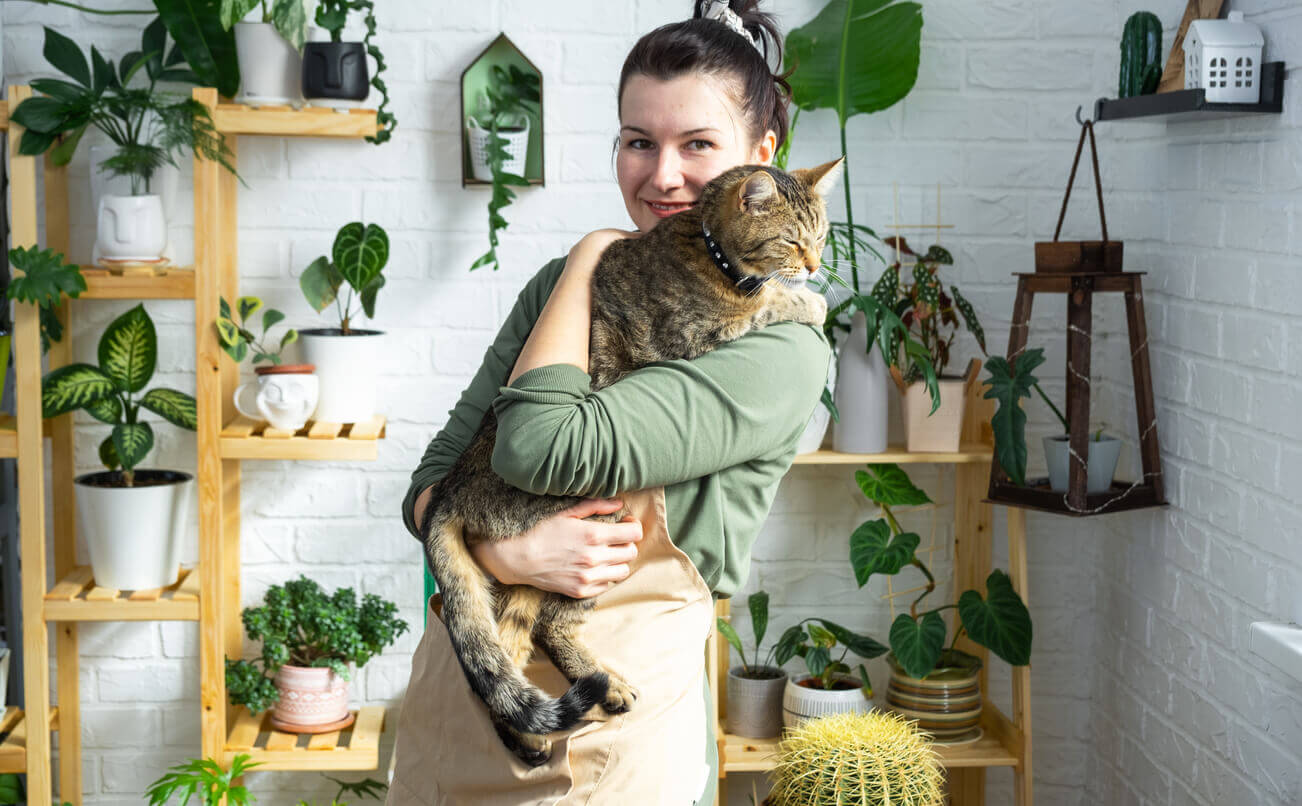 Trzymanie kota na rękach.