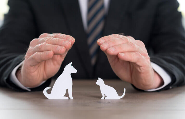 Ubezpieczenie dla zwierząt